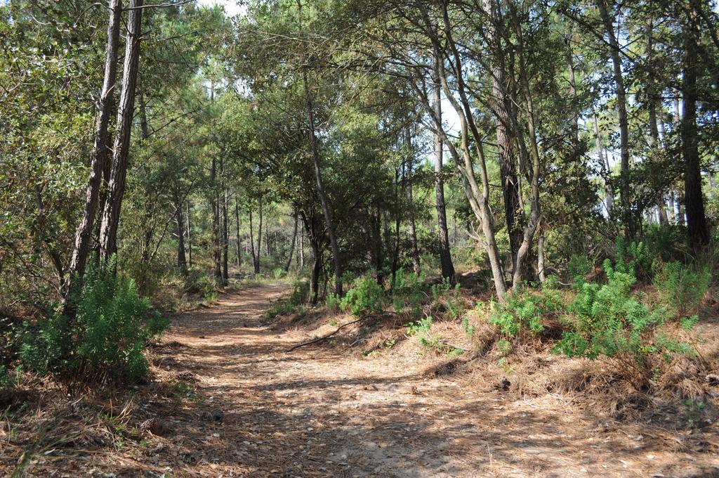 Отель Arc En Ciel Oleron Сен-Трожан-ле-Бен Экстерьер фото
